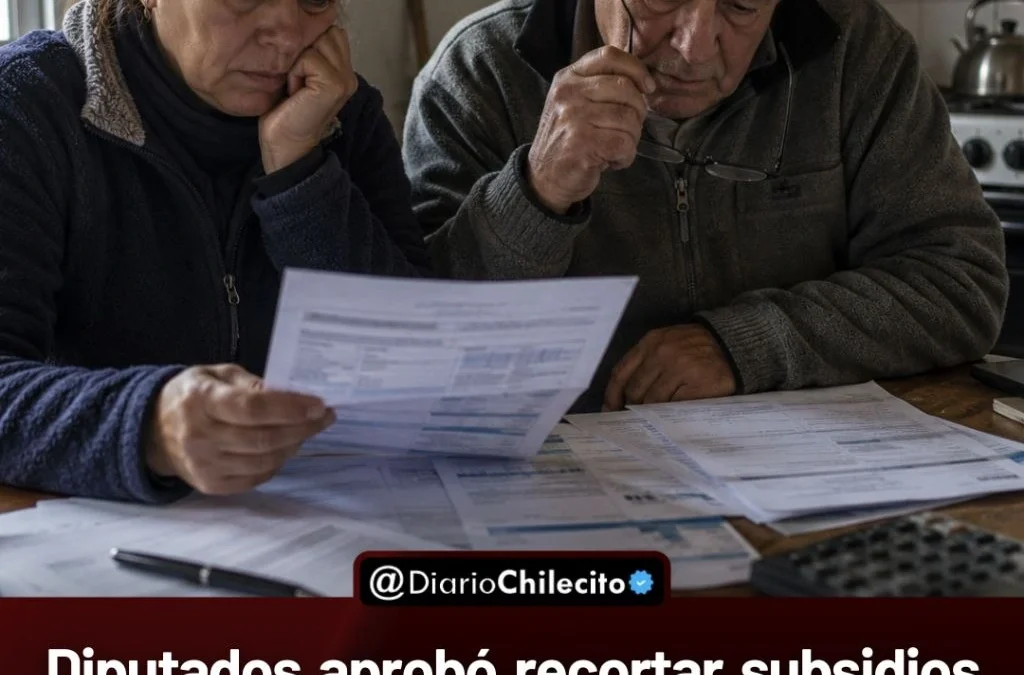 Diputados aprobó recortar subsidios al gas en Zonas Frías: más de 1,6 millones de usuarios podrían perder el descuento.