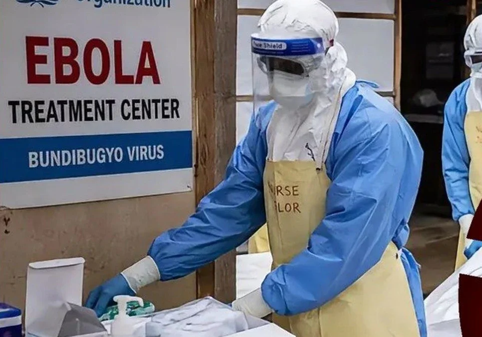 El ébola se expande y la OMS declaró la emergencia mundial para frenar el contagio entre humanos.