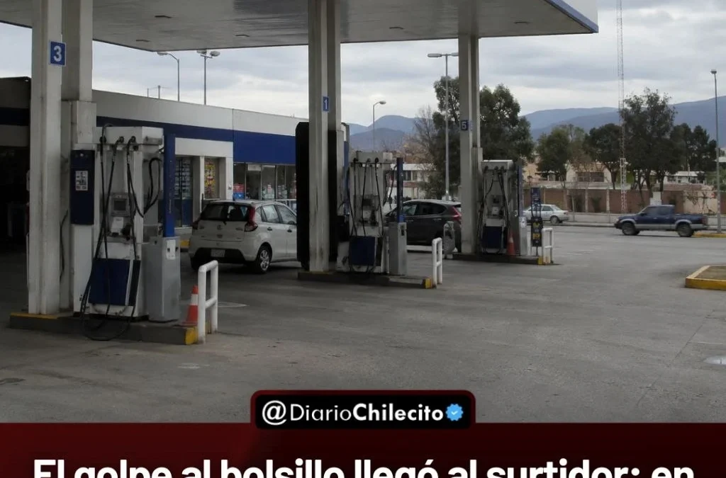 El golpe al bolsillo llegó al surtidor: en abril cayó la venta de combustibles en casi todo el país.