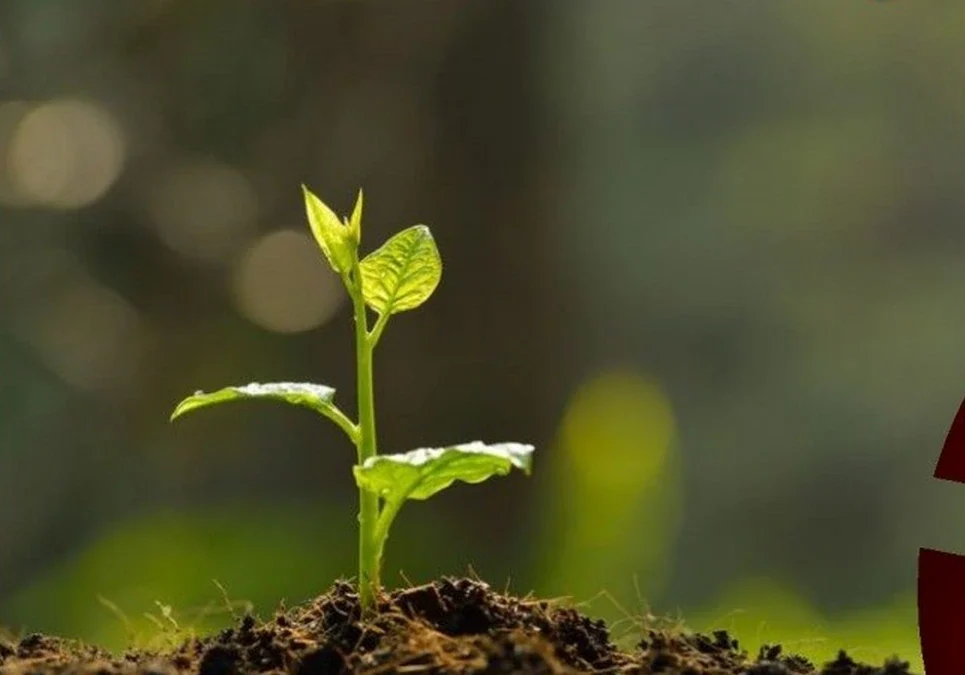 Impulsan el uso de tecnología sustentable en el agro chileciteño con el apoyo de la UNdeC y alumnos locales.