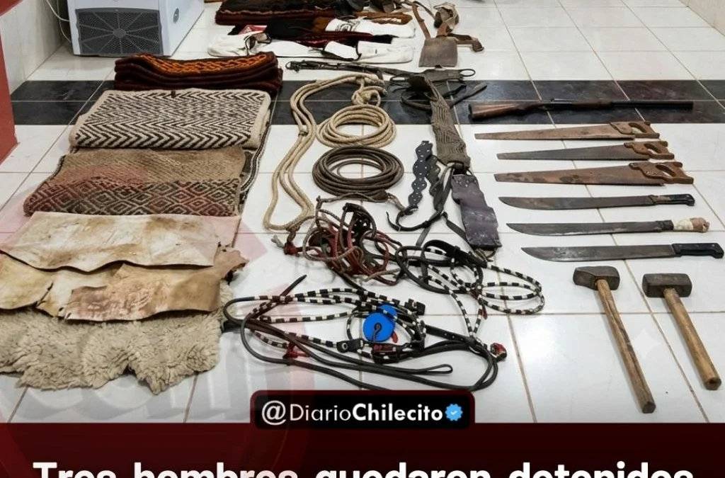 Tres hombres quedaron detenidos tras allanamientos por abigeato y secuestro de elementos rurales en Famatina este viernes.