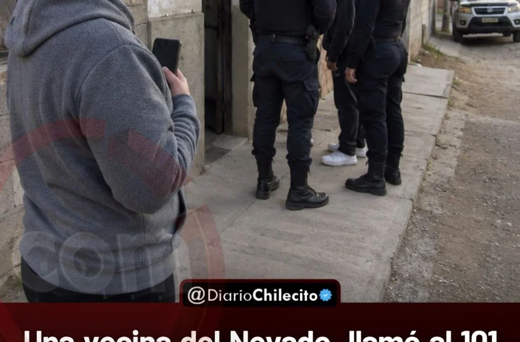 Una vecina del Nevado  llamó al 101 porque alguien entró por el techo de su vivienda, y la Policía demoró a un adolescente de 15 años.
