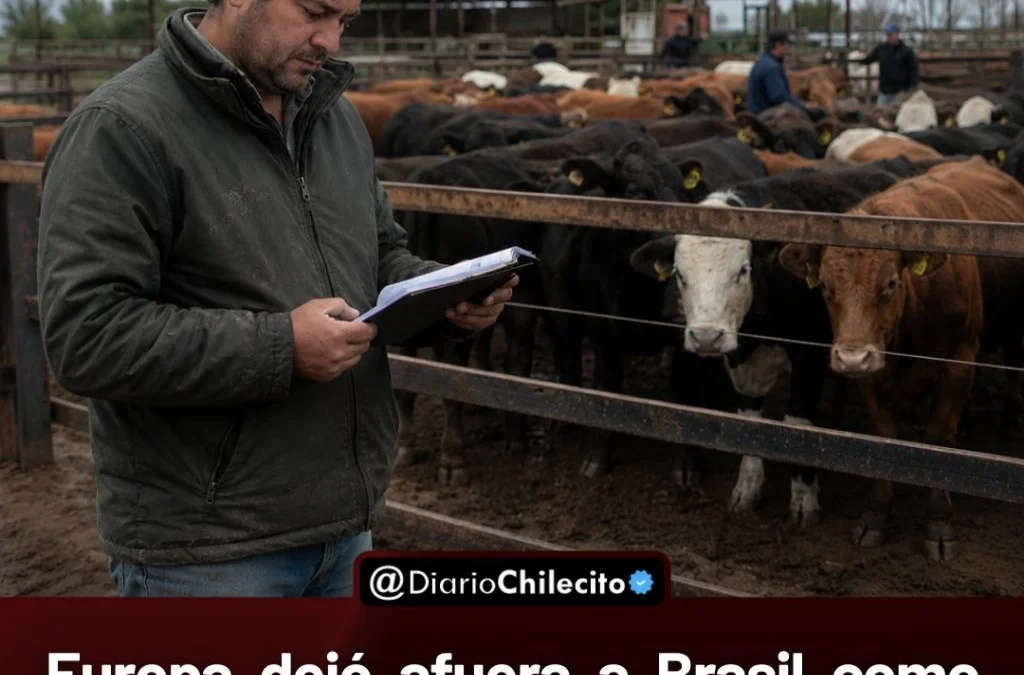 Europa dejó afuera a Brasil como proveedor de carnes y miel por falta de garantías sobre antimicrobianos en animales.