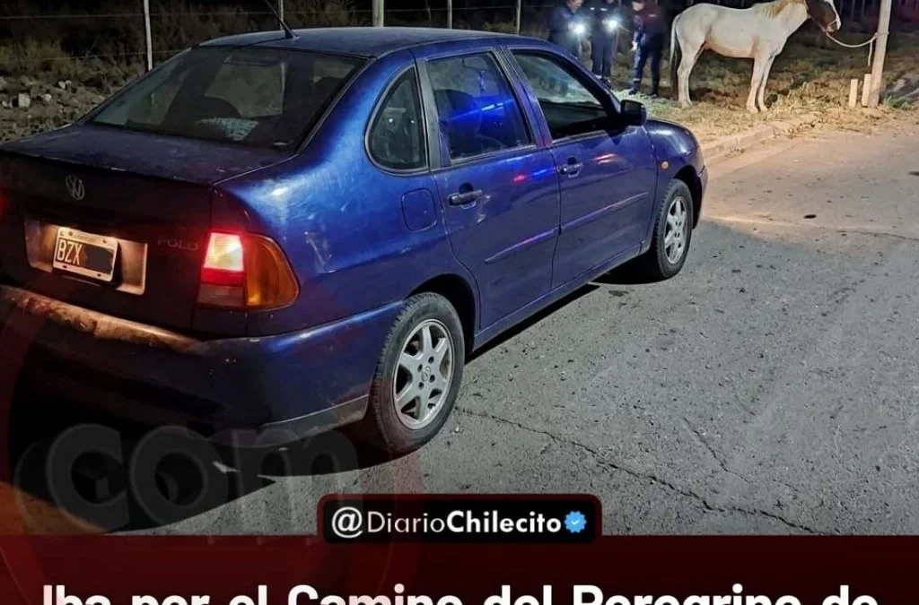 lba por el Camino del Peregrino de noche y un potrillo overo se le cruzó: el auto terminó con daños y el animal capturado.