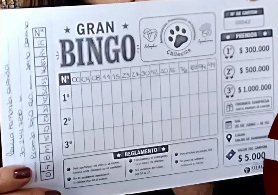 «Los Roqueritos» necesitan la ayuda de la comunidad: venden un bingo para pagar la atención de animales rescatados.