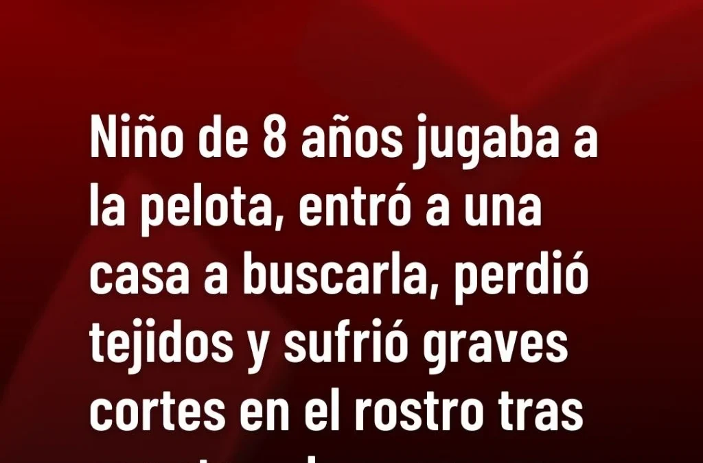 Niño de 8 años jugaba a la pelota, entró a una casa a buscarla, perdió tejidos y sufrió graves cortes en el rostro tras ser atacado por perros.