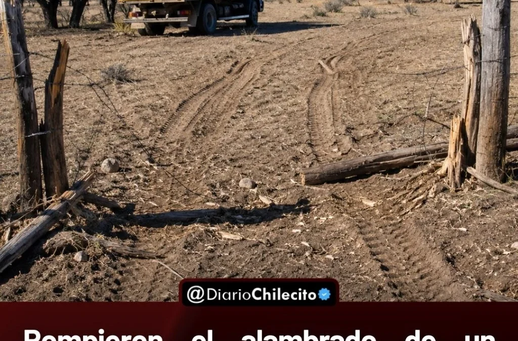 Rompieron el alambrado de un campo en Malligasta y robaron leña valuada en $5 millones. Hay un detenido.