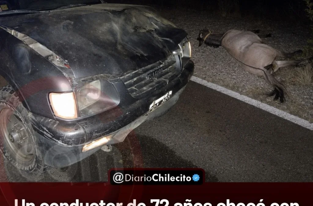 Un conductor de 72 años chocó con un equino en Av. Cable Carril: el animal murió y la camioneta quedó con daños materiales.