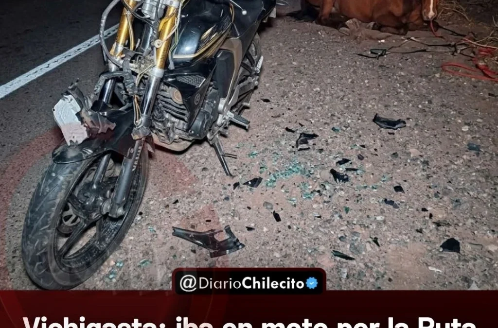 Vichigasta: iba en moto por la Ruta 74, chocó de frente contra un caballo y terminó internado de urgencia en el hospital.