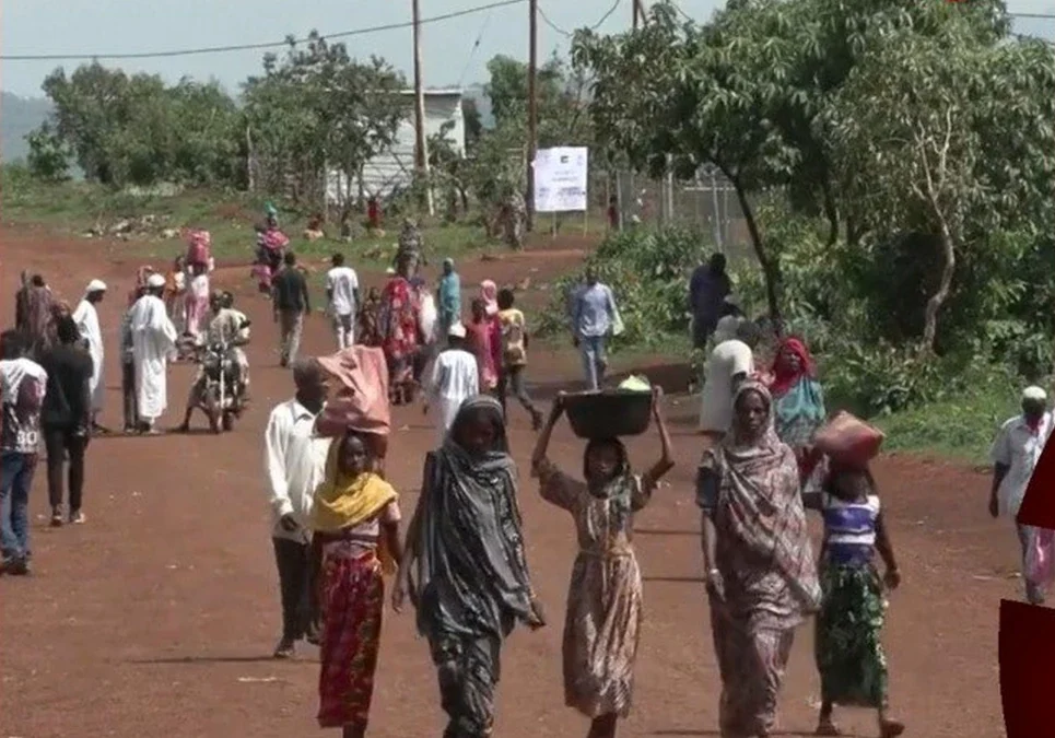 Alerta de la ONU: los recortes de la ayuda internacional bajo el mandato de Donald Trump dejaron sin asistencia a un millón de mujeres y niñas.