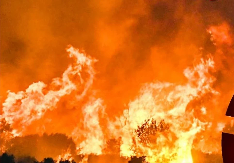 Alerta máxima en el sur de Europa: incendios forestales y calor extremo de 43°C provocan evacuaciones masivas.