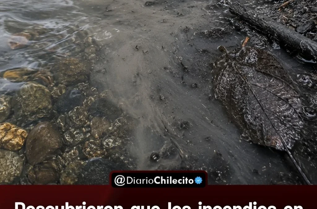 Descubrieron que los incendios en la Patagonia alteraron las propiedades del agua en ríos y arroyos de la zona.