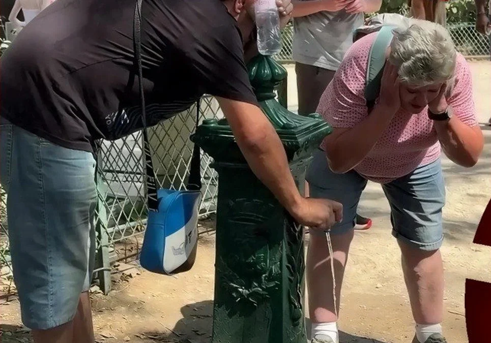 El calor extremo asfixia a Europa: registran un fuerte exceso de mortalidad en adultos mayores y daños en las cosechas.