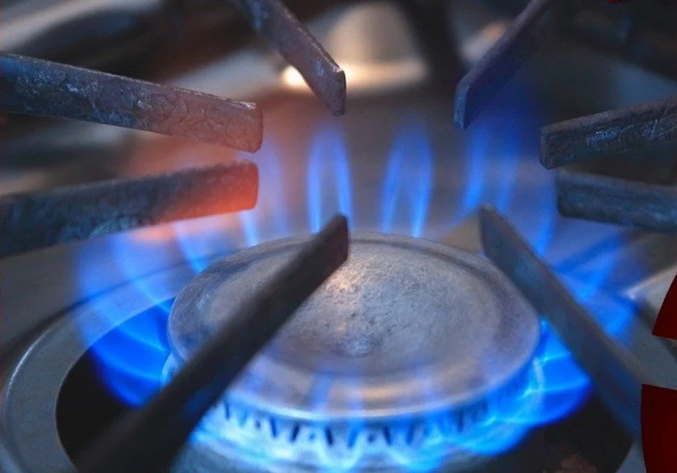 El exsecretario de Energía explicó por qué las industrias sufren los primeros cortes de gas durante el invierno.