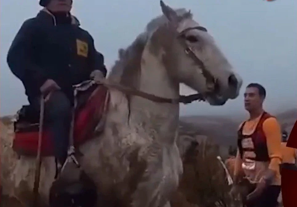 Emboscada y violencia en la provincia de Río Negro: jinetes armados atacaron a rebencazos y piedrazos a competidores de una carrera de running.