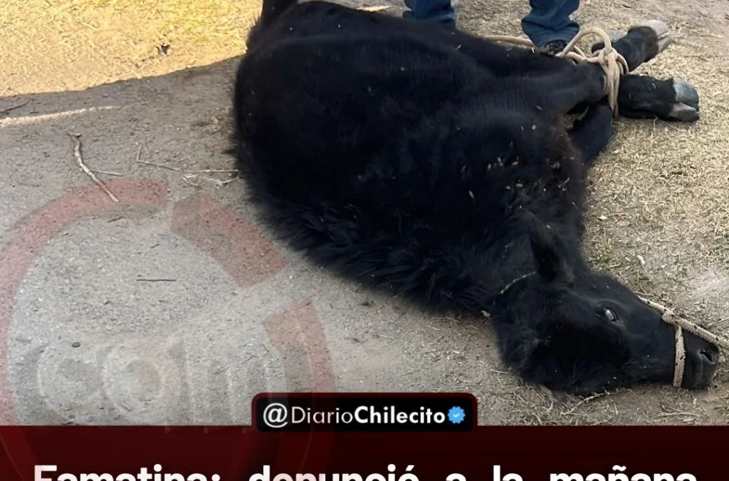 Famatina: denunció a la mañana que le faltaba un animal de su campo y la Policía lo recuperó a la tarde. Hay un detenido.