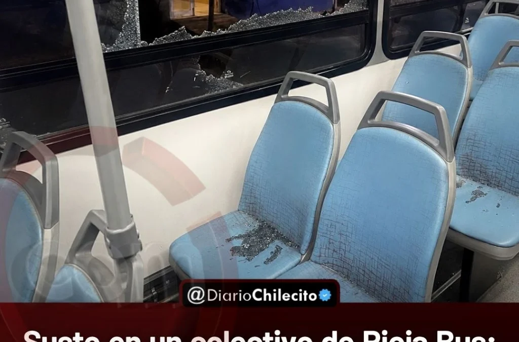 Susto en un colectivo de Rioja Bus: iban por Nonogasta, le reventaron los vidrios y de milagro nadie salió lastimado.