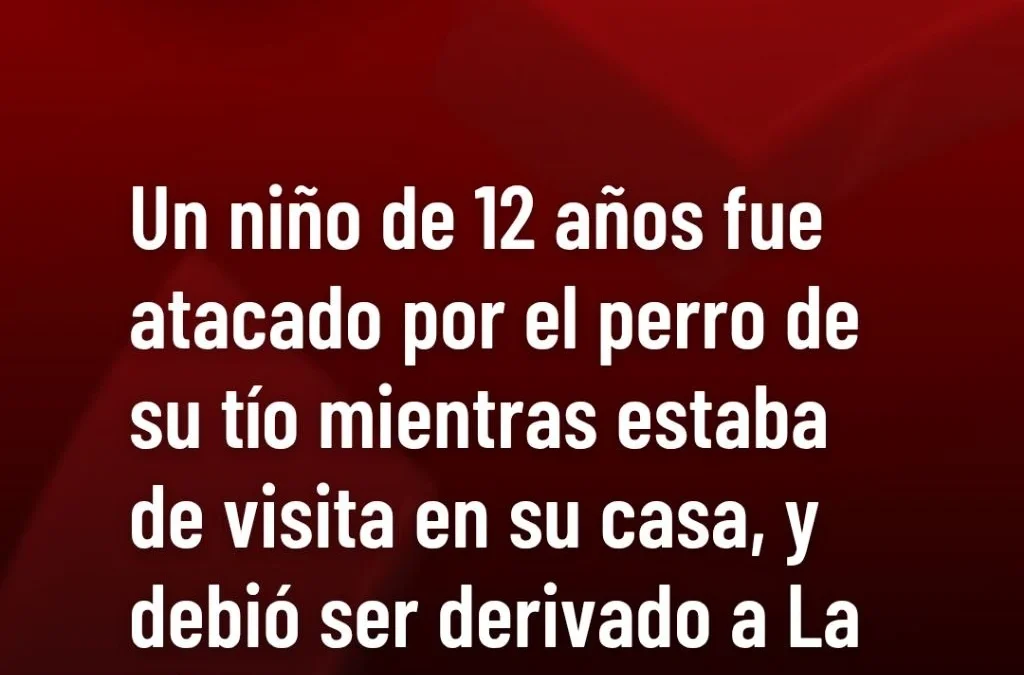 Un niño de 12 años fue atacado por el perro de su tío mientras estaba de visita en su casa, y debió ser derivado a La Rioja.