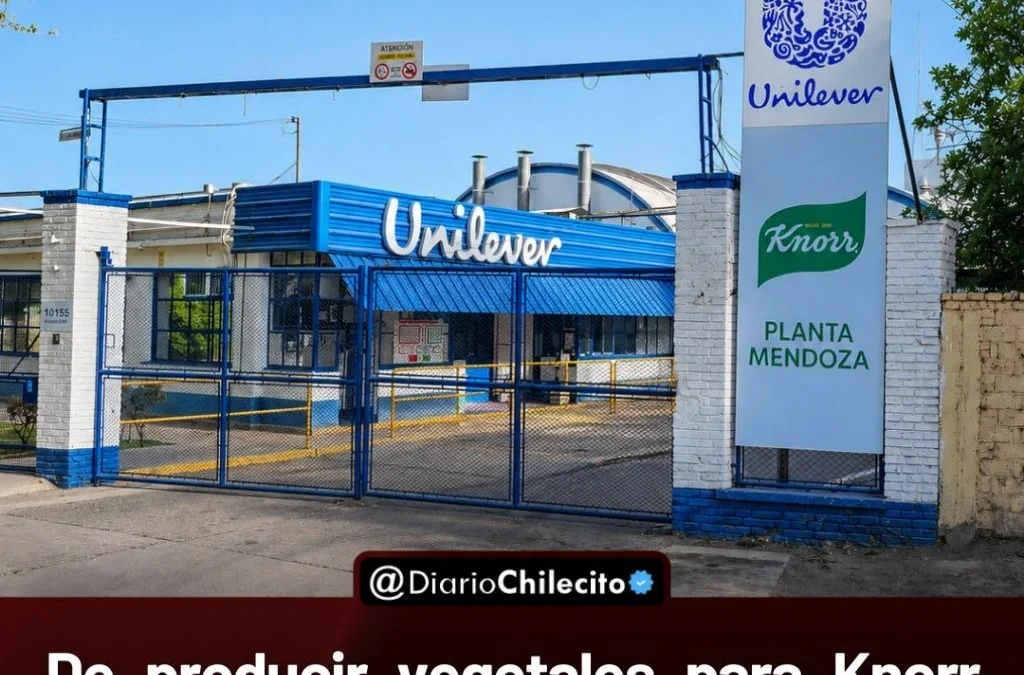 De producir vegetales para Knorr durante 62 años a cerrar el proceso e importar: Unilever desvinculó a 60 trabajadores.