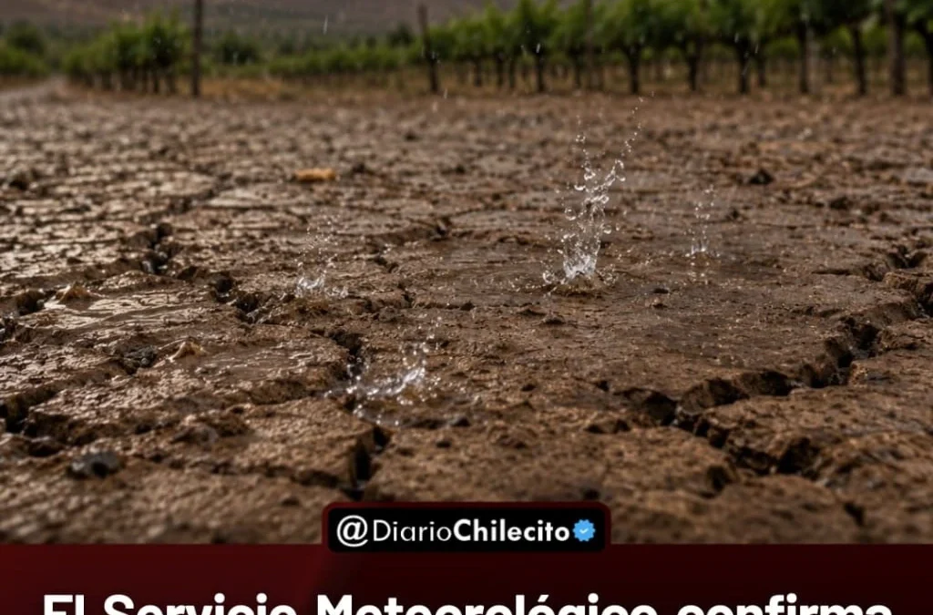 EI Servicio Meteorológico confirma
que EI Niño está activo mientras los
pronósticos internacionales elevan
su intensidad esperada.