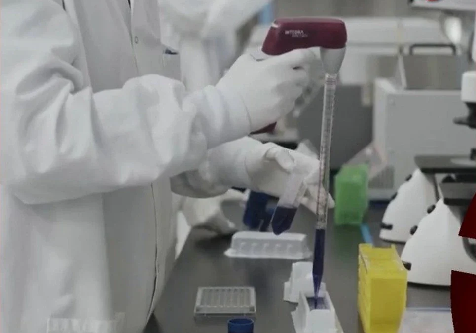 Moderna y Merck presentarán los datos de una terapia con ARN mensajero para solicitar su aprobación contra el cáncer de piel.