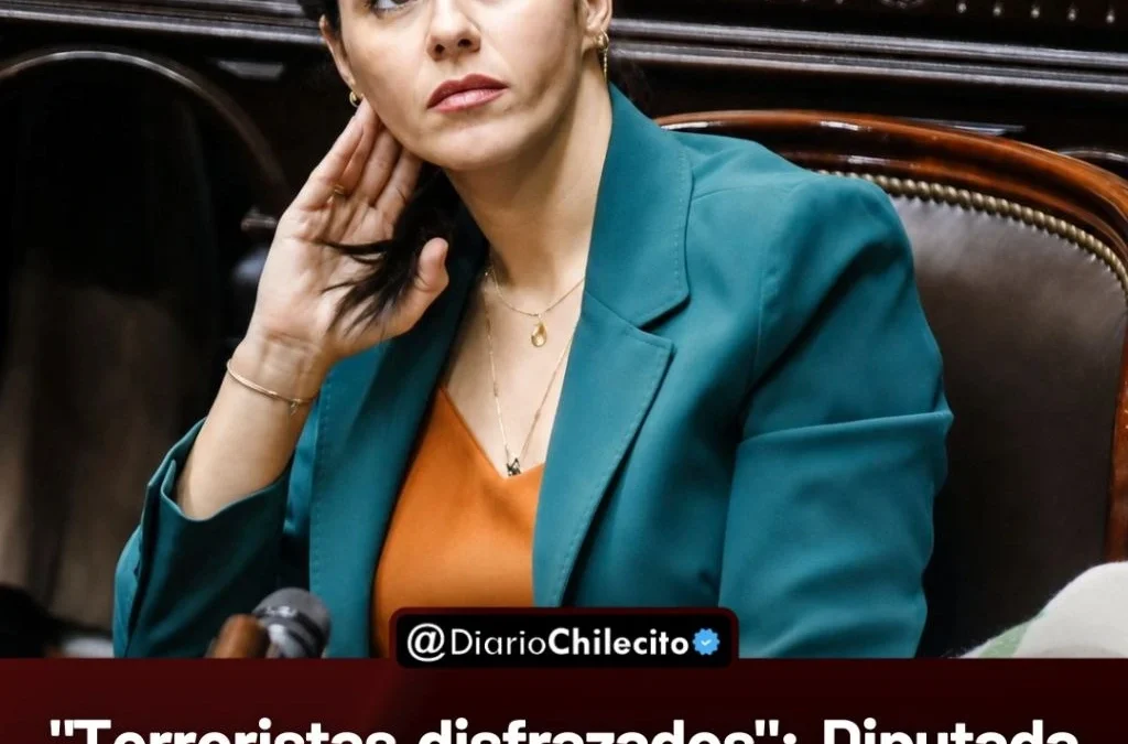 «Terroristas disfrazados»: Diputada pidió juicio político contra Milei y explicó los peligros de esa frase contra estudiantes y docentes.