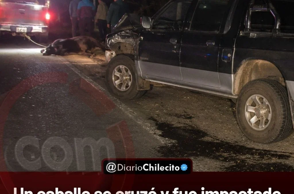 Un caballo se cruzó y fue impactado por una camioneta sobre Ruta 78. Los ocupantes de la camioneta salieron ilesos. El animal murió.