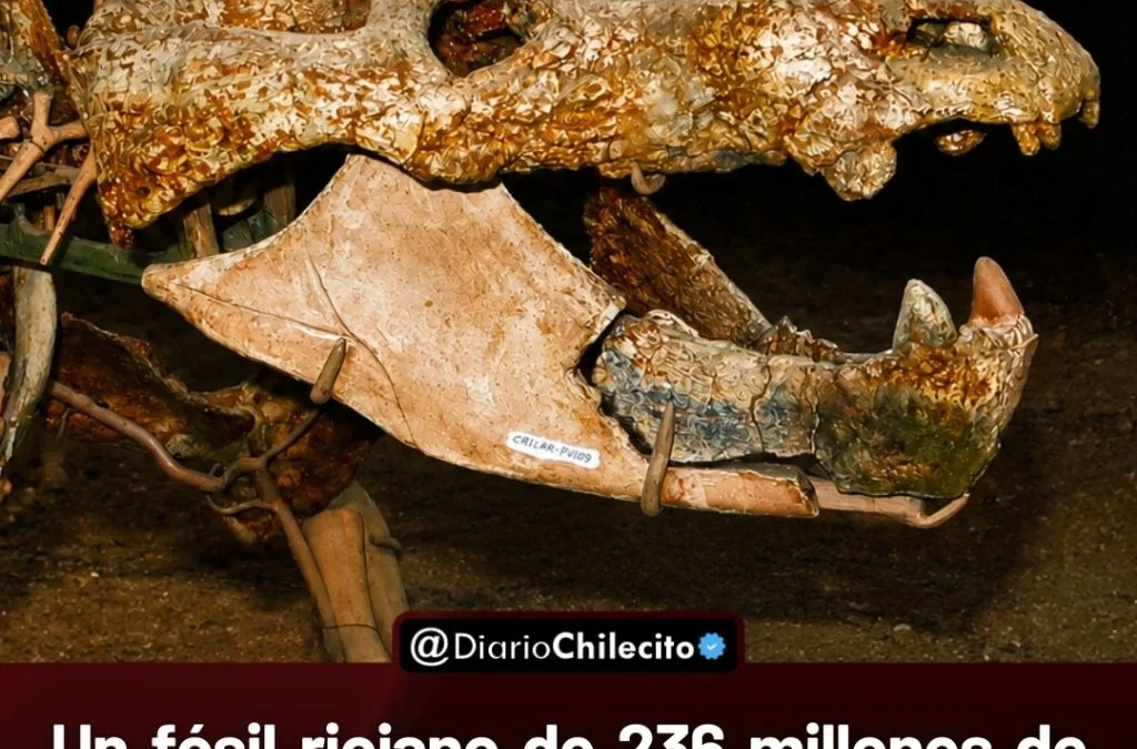 Un fósil riojano de 236 millones de años guardaba una pista que cambia lo que se sabía sobre el nacimiento de los mamíferos.