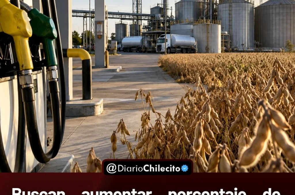 Buscan aumentar los biocombustibles en nafta y gasoil, pero las pymes rechazan perder parte de su cupo frente a las grandes empresas.