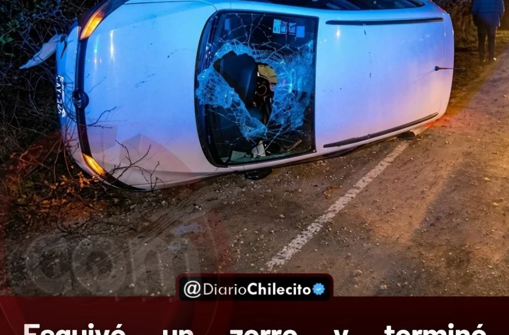 Esquivó un zorro y terminó volcando: el auto se fue 50 metros afuera de la ruta antes de pegar contra el guardarraíl.