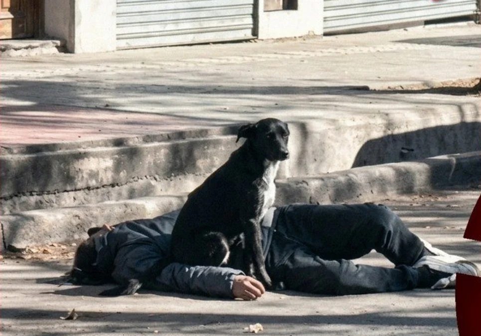 La fidelidad de un perro complicó las tareas de auxilio a un hombre descompensado en la vía pública.