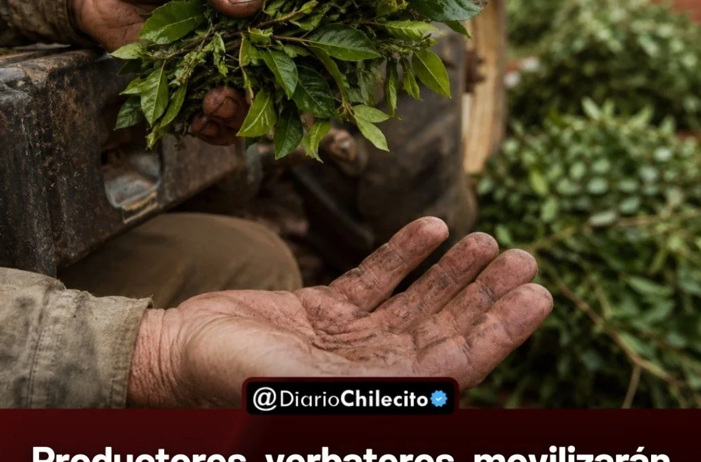 Productores yerbateros movilizarán tractores y camiones en reclamo: dicen que cobran $300 por la hoja verde, que cuesta $500 producir.