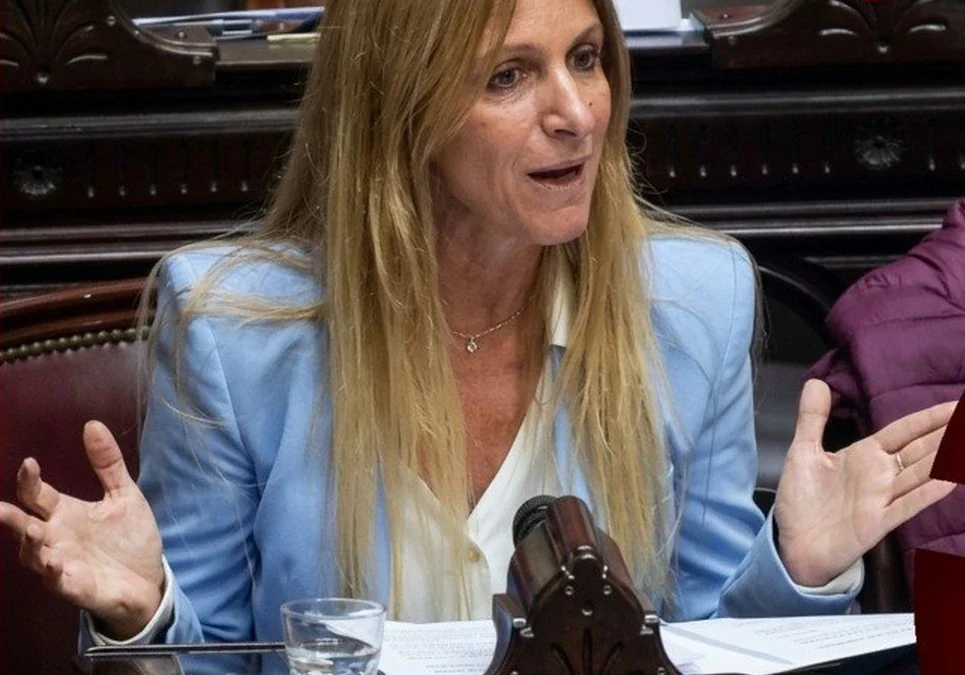 «Vinieron a cagarle la vida a los argentinos»: una diputada nacional criticó con dureza el proyecto de Presupuesto.