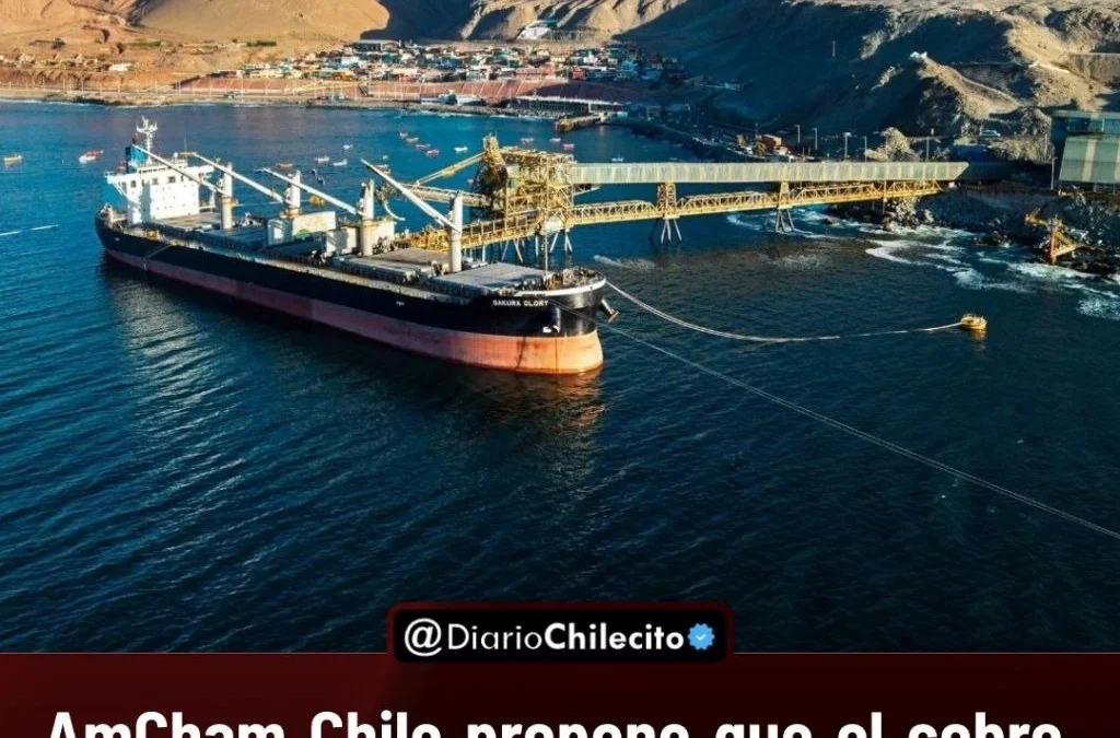 AmCham Chile propone que el cobre argentino salga por el Pacífico con experiencia chilena y capital de
Estados Unidos