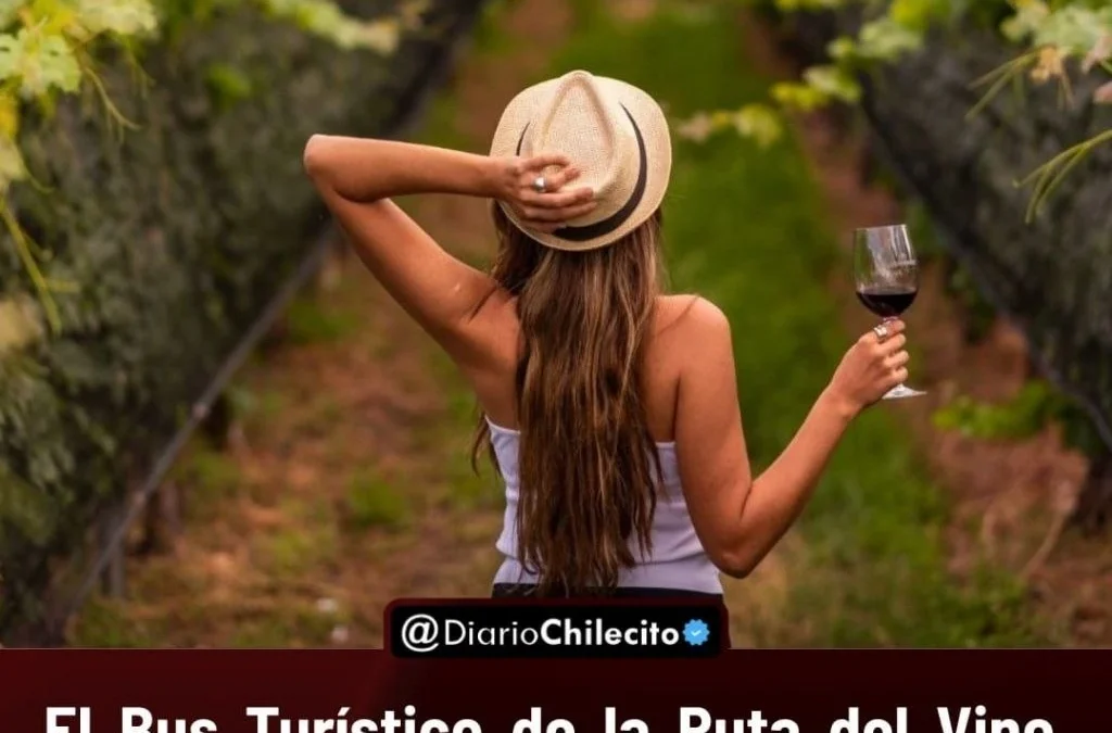 El Bus Turístico de la Ruta del Vino Riojano sale éste sábado 17 a las 9 desde la Secretaría de Turismo de Chilecito con degustaciones