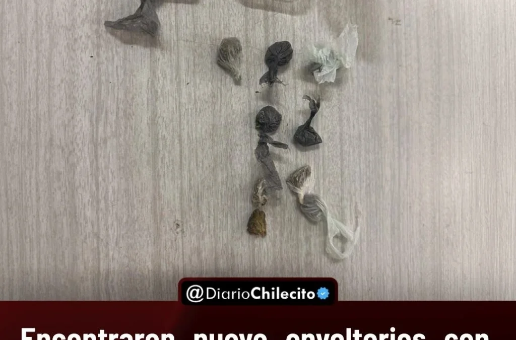 Encontraron nueve envoltorios con una sustancia que dio positivo para cannabis en una mochila del colegio de Anguinán