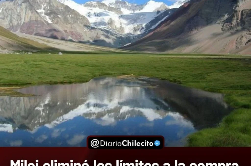 Milei eliminó los límites a la compra de tierras por extranjeros y la Corte Suprema no logra acordar si frena esa decisión.
