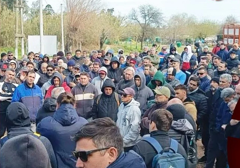 “Nos deben cuatro sueldos y ofrecieron pagarnos con un cajón de pollo”: el reclamo de trabajadores despedidos de Granja Tres Arroyos.