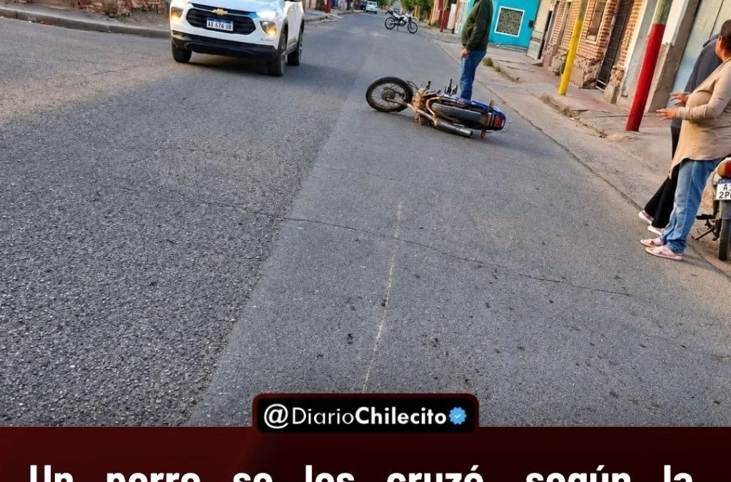 Un perro se les cruzó, según la policía: una mujer de 48 años y su hija de 9 cayeron de la moto y la niña tiene posible fractura