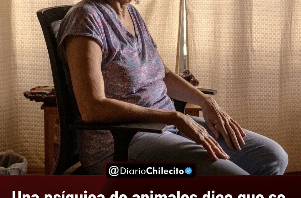 Una psíquica de animales dice que se comunicó durante dos años con los perros de Milei (uno de ellos muerto), según le contó a New York Times